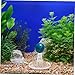 LIOOBO 4pcs Crystal Ball Holder Stand for Cylinder Fish Tank Decorative Sphere Balls