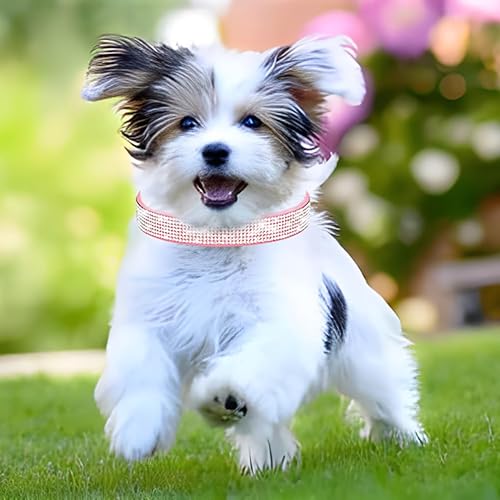 Miniatura 2 de Lindo collar para perro con diamantes de imitación brillantes, elegante collar de cristal con purpurina bonita joya suave para gatos de raza