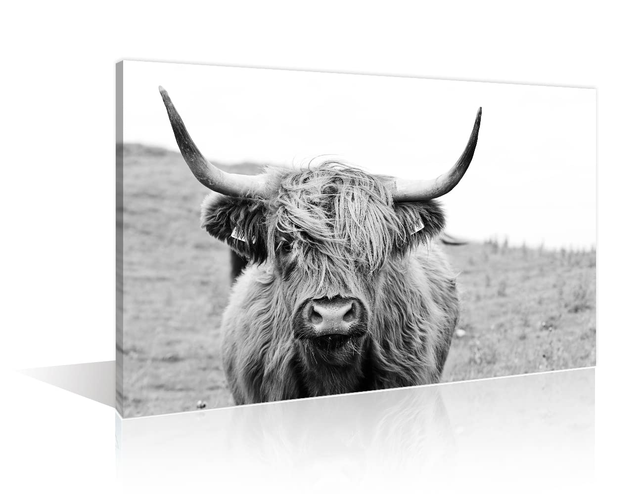 TISHIRON 1 Panels Black and White Canvas Prints Highland Cow Wall Art Home Decorations for Living Room Modern Stretched and Framed Animal Pictures Photo Giclee Paintings Ready to Hang(16" Wx24 H)