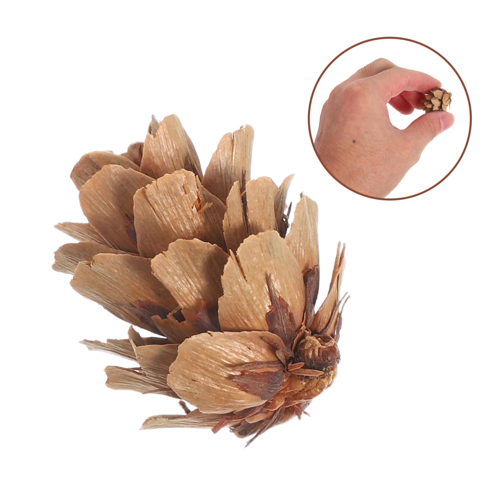Kleiner Kiefernzapfen Ornamente Aus Naturholz 1-2cm Kleine Tannenzapfen Weihnachtsbaumschmuck Zum Aufhängen Rustikale Dekoration Für Weihnachts Und Selbstgemacht Projekte