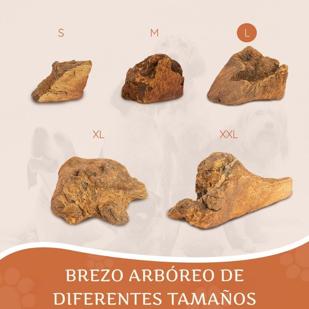 Wildfang® Raíz Masticable de Brezo Grande – Mordedor de Madera, Juguetes para Perros Agresivos, Sin Olor, Natural para Dentición y Salud Dental, Encías Saludables (25-45 kg), Paquete de 3