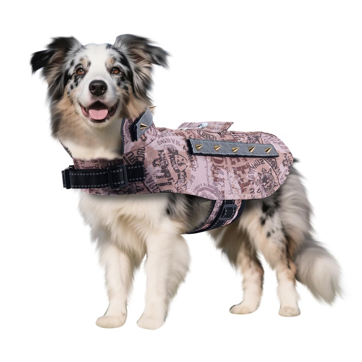 BT Bear Dog Anti Bite Suit,Dog Thick Padding Vest with Rivet Nail Anti Attack Pet Jacket for Puppy Small Dogs (XS,Brown)