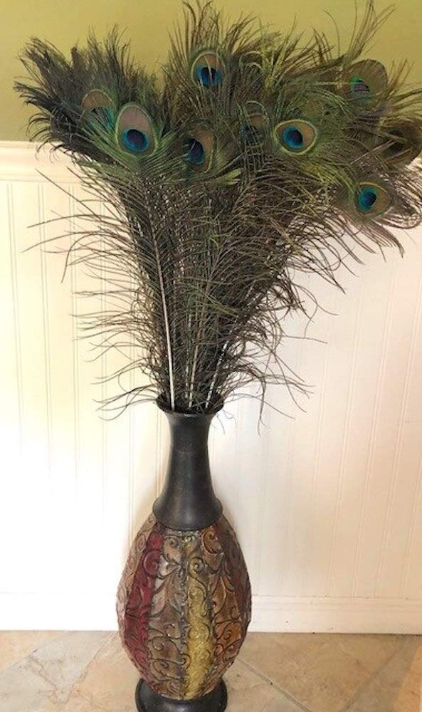 Natural Peacock Feathers, Big Eyed, Long and Lush, 40-45