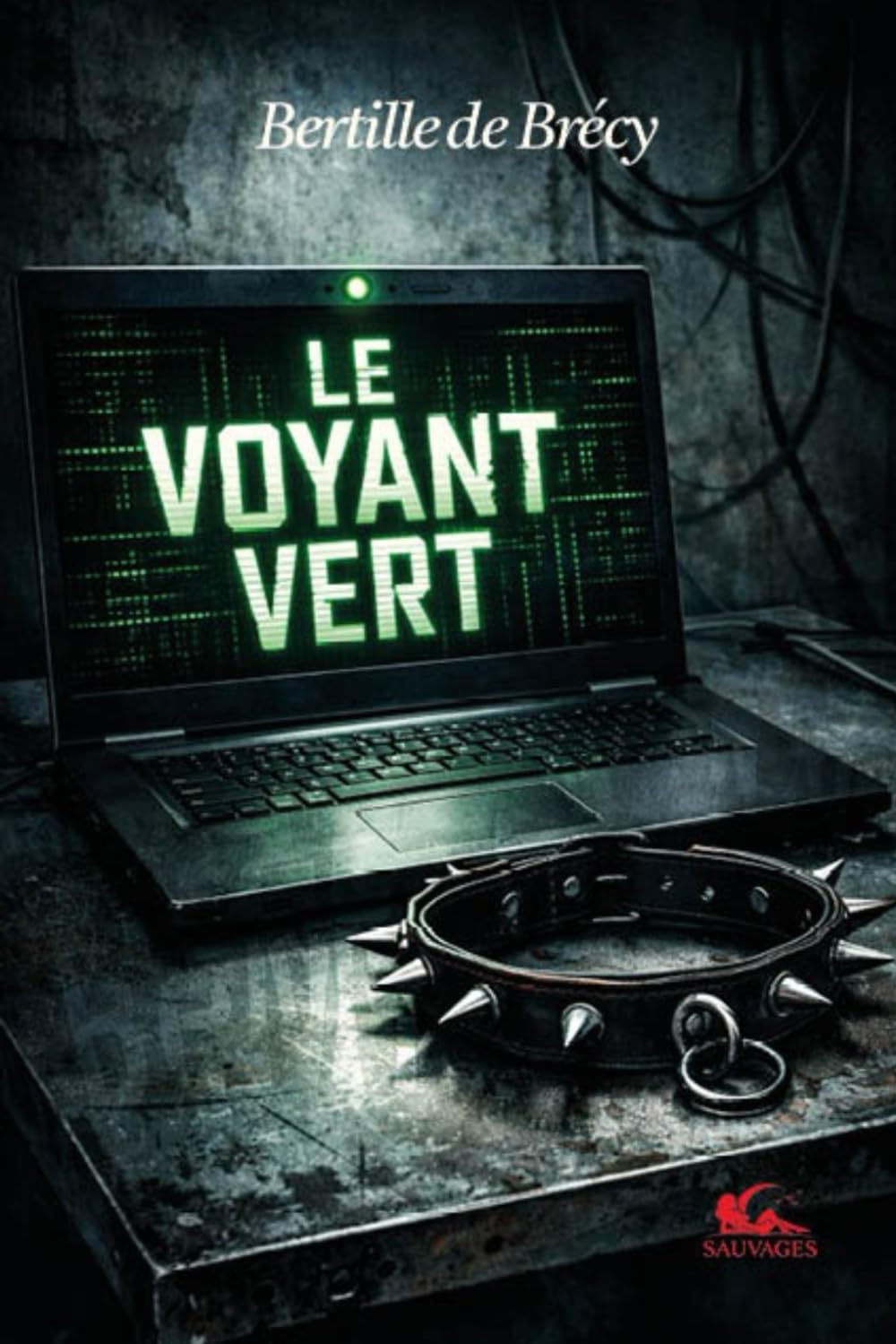 Le Voyant vert: Thriller érotique