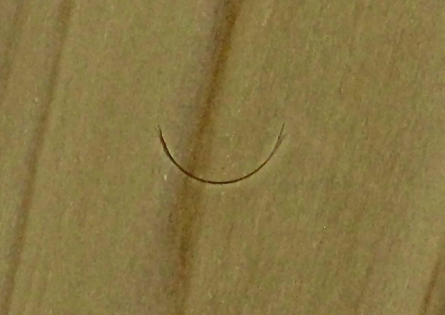 Automatic RD2209 Common Replacement Blade Deep Round Width 0.4 inch (9 mm)