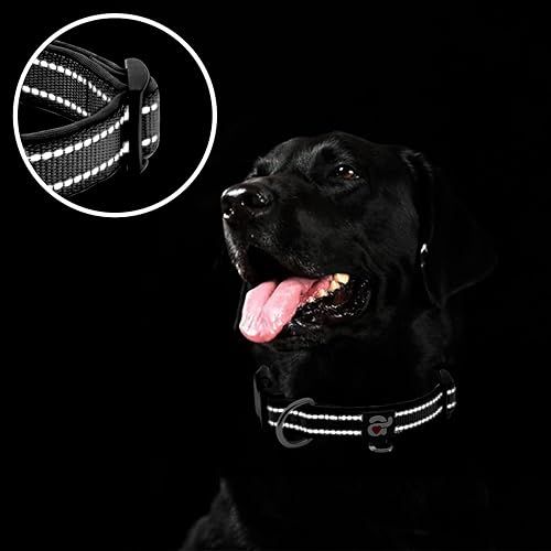 Miniatura 4 de azuza Collar reflectante para perro, collar acolchado de neopreno suave para mascotas con anillo de etiqueta de identificación, ajustable para