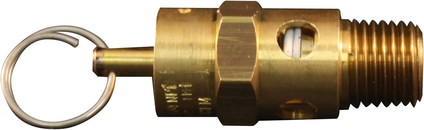 Milton 1090-125 1/4" MNPT ASME Safety Valve - 125 PSI Pop off Pressure
