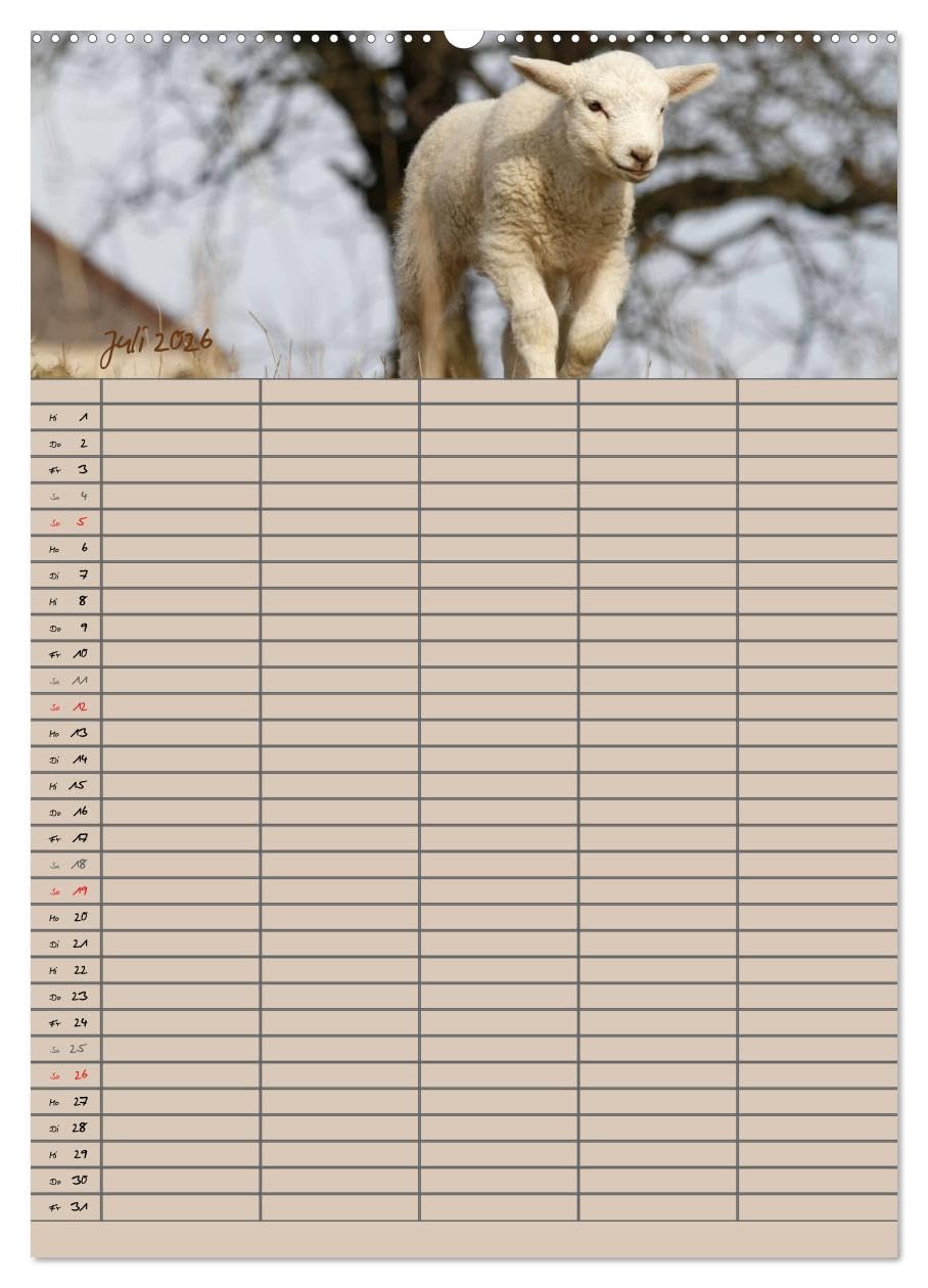 Der belämmerte Familienplaner (hochwertiger Premium Wandkalender 2026 DIN A2 hoch), Kunstdruck in Hochglanz