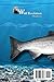Salmon Fishing Journal and Log Book