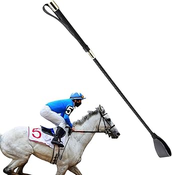 61aVX8mul1L._AC_UF350,