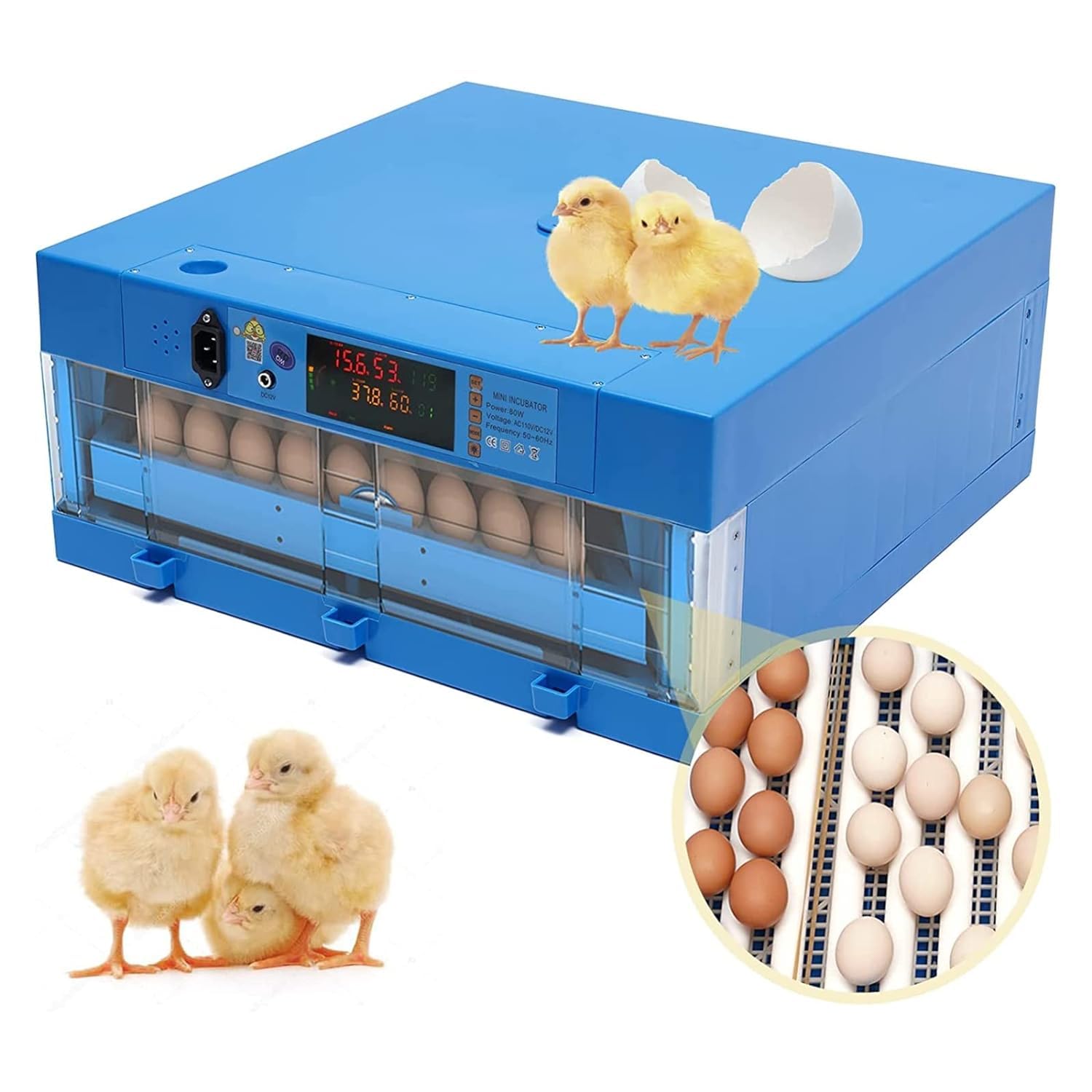 Incubadora automática de huevos, 64 huevos de gallina fértiles, control de temperatura y humedad, giro automático, recarga de agua, perfecta para incubar patos, codornices