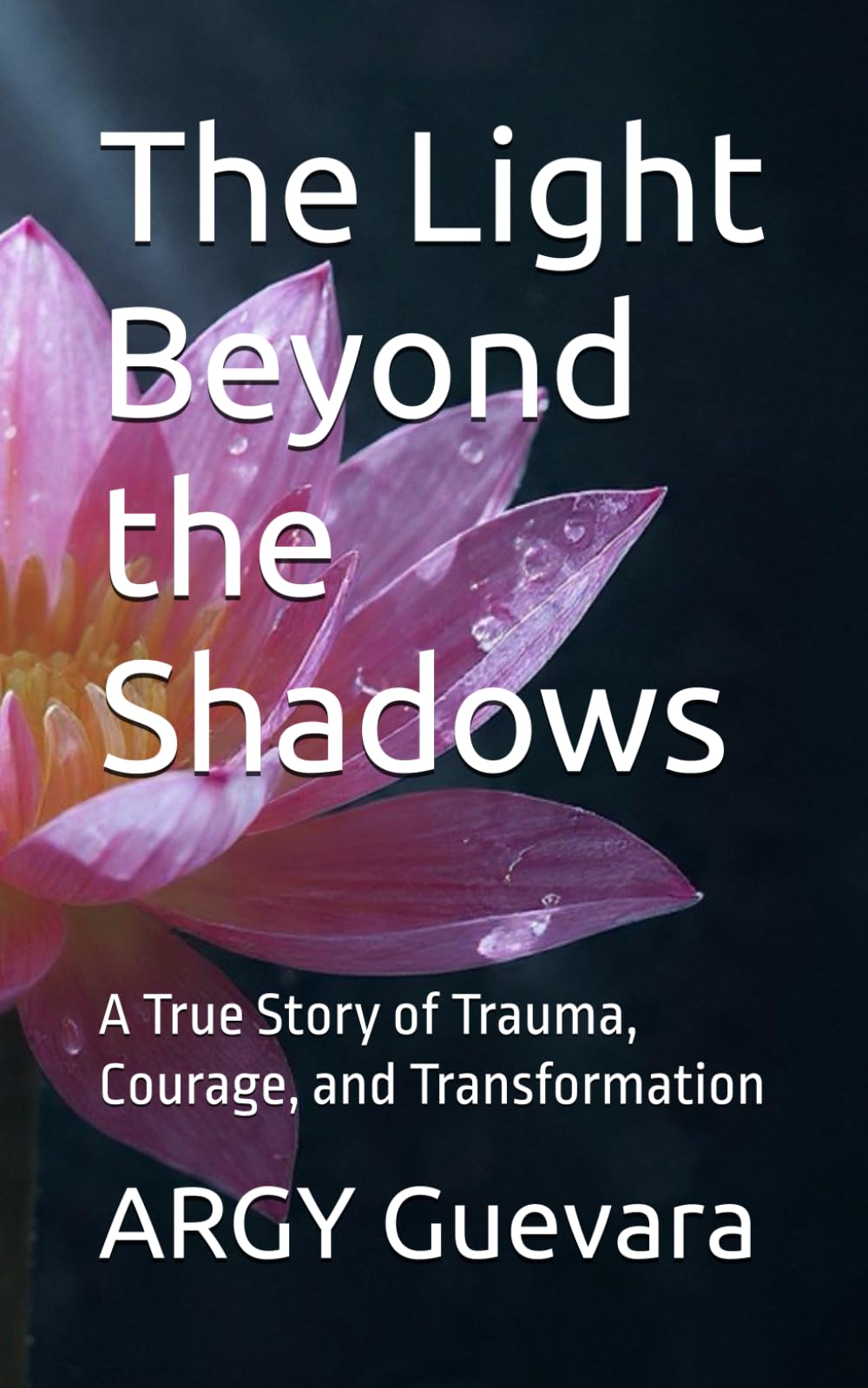 The Light Beyond the Shadows: A True Story of Trauma, Courage, and Transformation