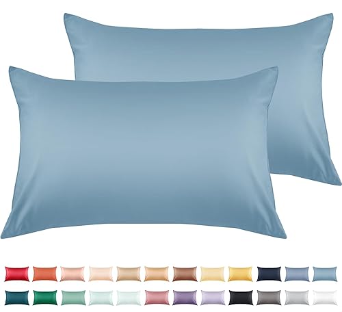 Warmstar - Juego de 2 fundas de almohada de algodón tamaño estándar, 600 hilos, fundas de 20 x 26 pulgadas, algodón suave de fibra larga