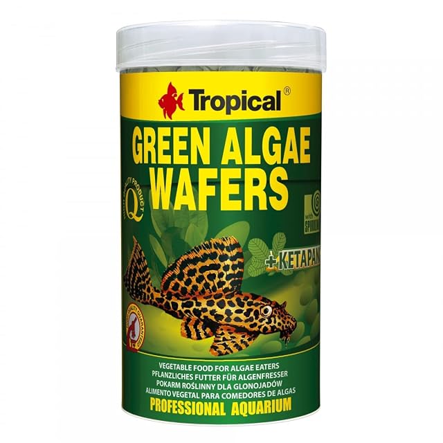 Green Algae WAFERS 250ml / 113g - Alimento con espirulina, Algas en Hojas de catappa para Peces Que Toman…