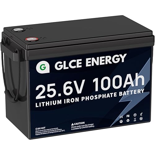 LiFePO4 Battery 24V 100Ah, 4000~15000+Deep Cycle Battery with Built-in 100A BMS for RV, Marine, Solar Energy Storage, Backup Power, Camping and More[Mini-Version]