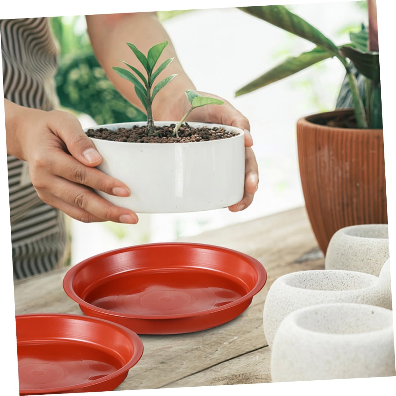 6pcs Thick Flower Pot Saucer Trays for Potted Plants Round Drip Plates for Indoor and Outdoor Use for Bonsai and Gardening Projects