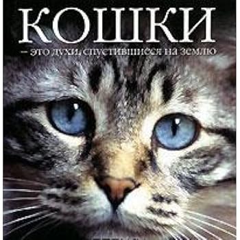 Hardcover Koshki - eto duhi, spustivshiesya na zemlyu [Russian] Book