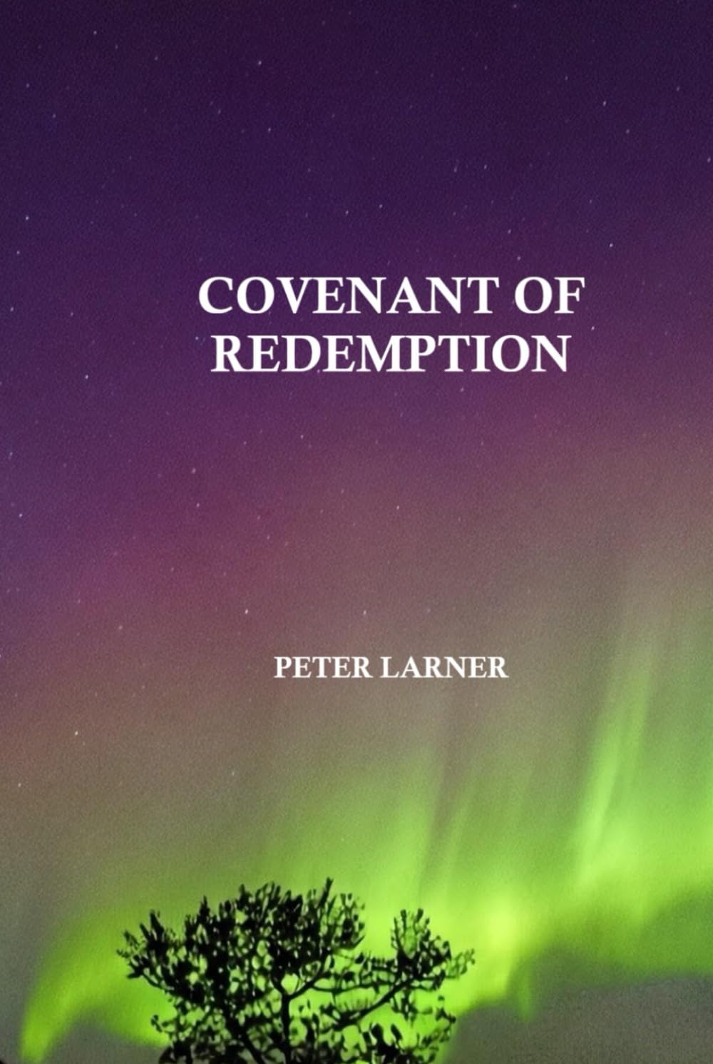 Covenant of Redemption (Covenant Conspiracy Series)
