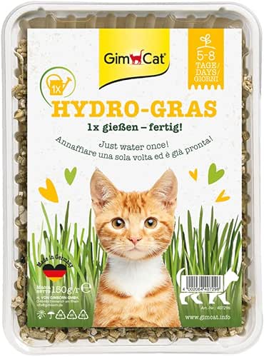 GimCat Hydro-Gras - Herbe à chat fraîche issue d’une culture