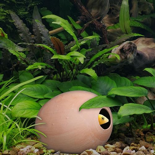 Miniatura 2 de Cobalto Aquatics Huevo Cave, terra cotta Breeding Cave