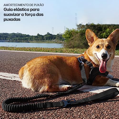 Guia pra cães c/Cinto Segurança Amortecedor Antipuxão MADOG