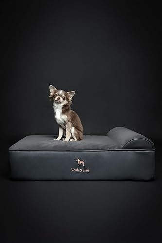 Miniatura 6 de NOAH & PAW Cama para perro, 28 x 23 x 11 pulgadas, camas ortopédicas para perros para mascotas de tamaño mediano, espuma viscoelástica de cáscara de