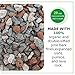 Bonsai Soil Mix by Tinyroots - All Purpose Bonsai Soil Mix Ready to Use Blend, Used for All Varieties of Bonsai Trees, 2.25 Quarts