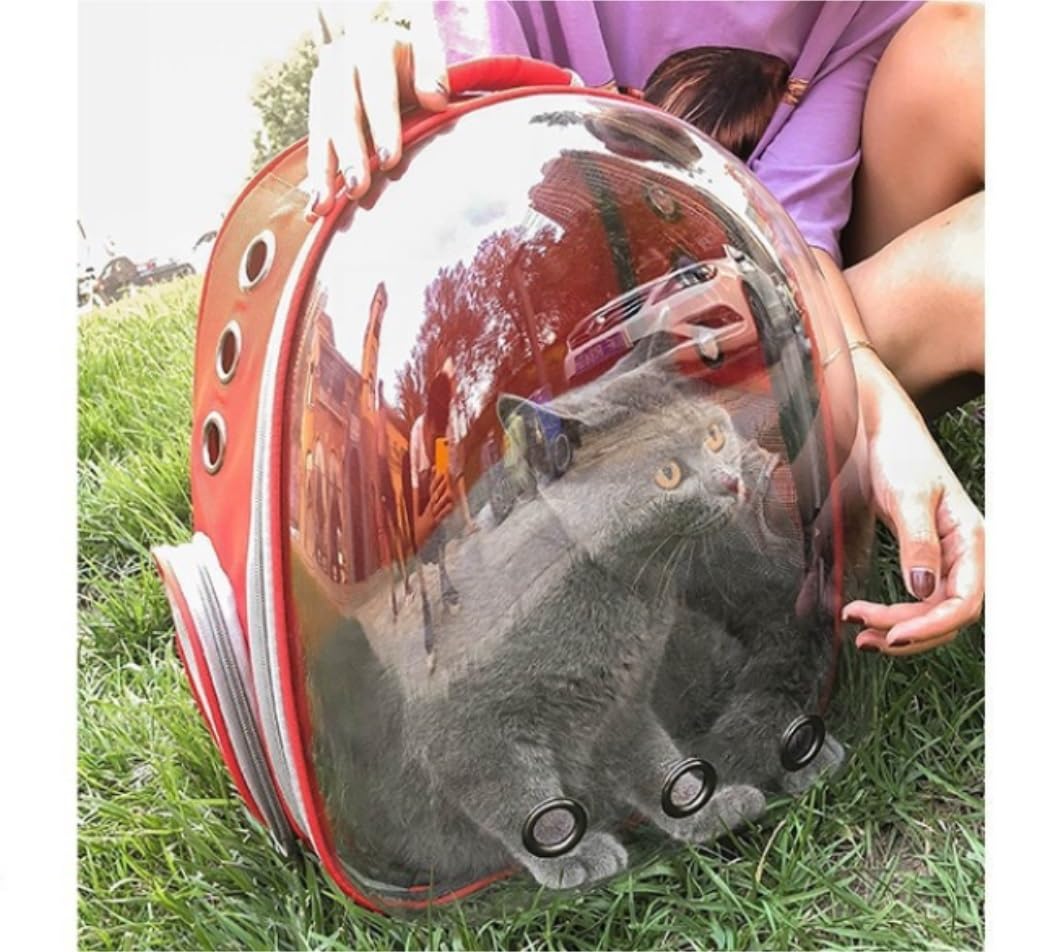 Rucksack Haustier-Rucksack, Träger, Raumkapsel, Blasenfenster, Astronauten-Reiserucksack, Transparente, Klare Hartschale Haustier(D)