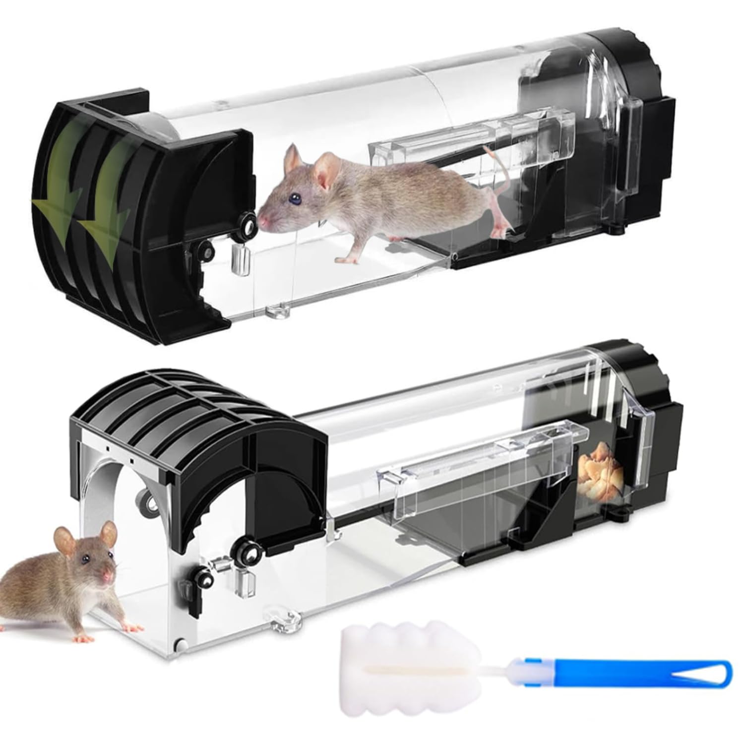 Trampas para ratones humanas para capturar roedores sin matarlos ni arriesgar a tus mascotas
