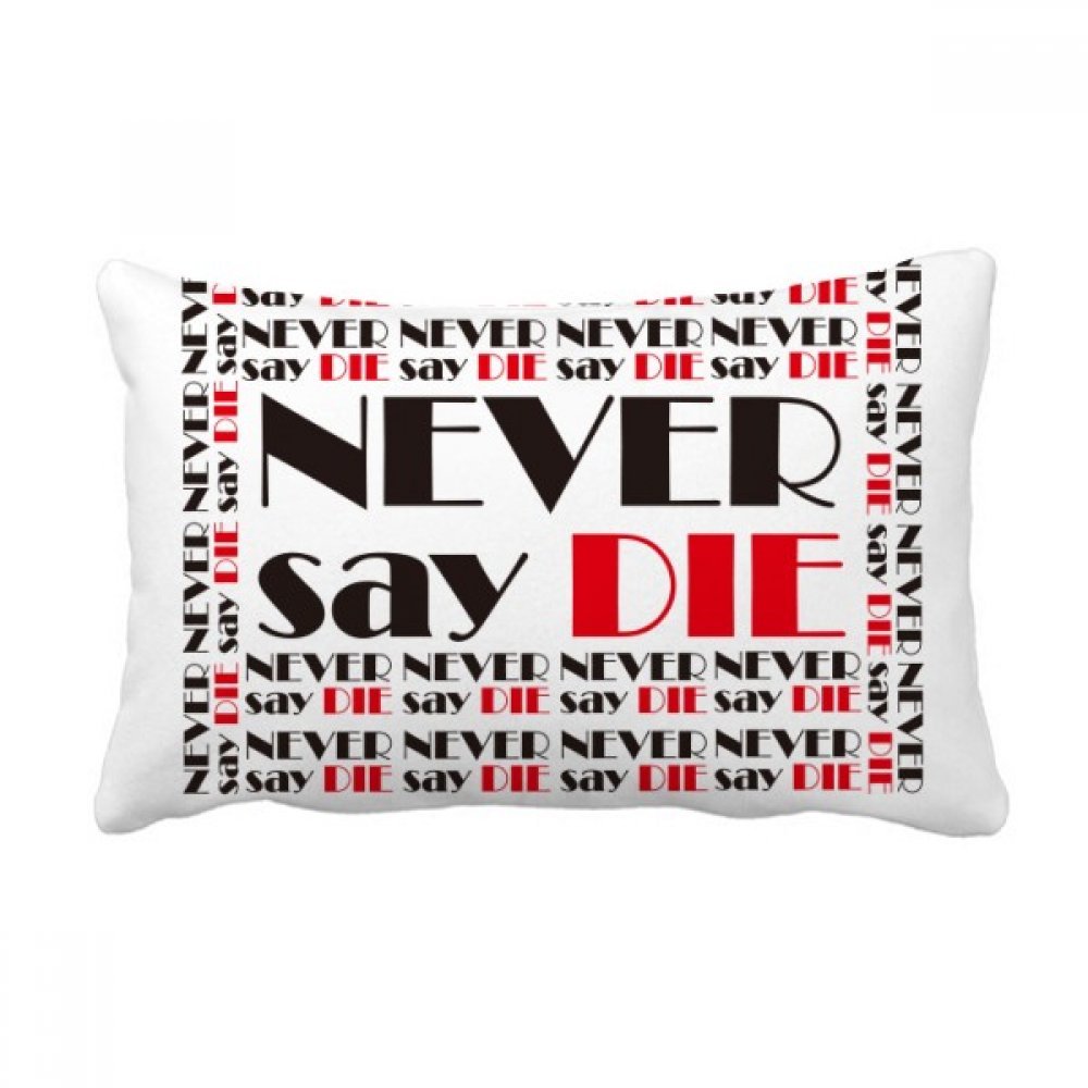 Coussin oreiller lombaire multicolor pour decorer un canape de salon moderne et accueillant