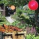 HYKJNBW punch luftballons für Kinder Ideal Party Bag Fillers, 18 Zoll verdickt Latex Ballon Korb Stuffers für Kleinkinder, spannende Ei Fillers, Geburtstag Party Favors Goodie Bag Stuffers 30pcs