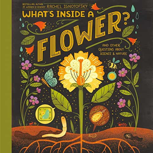 What's Inside a Flower? by Rachel Ignotofsky episode artwork