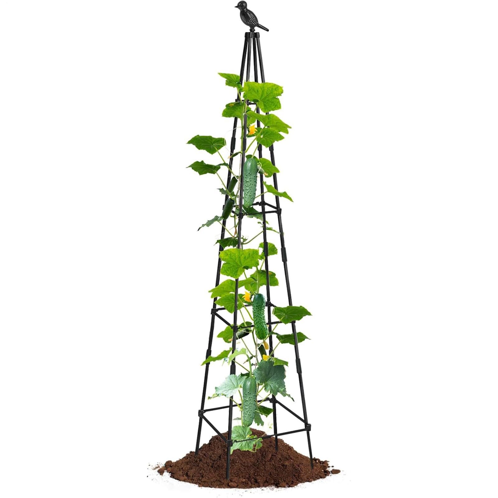 Treillis de tomates pour embellir votre jardin et réussir vos récoltes en famille