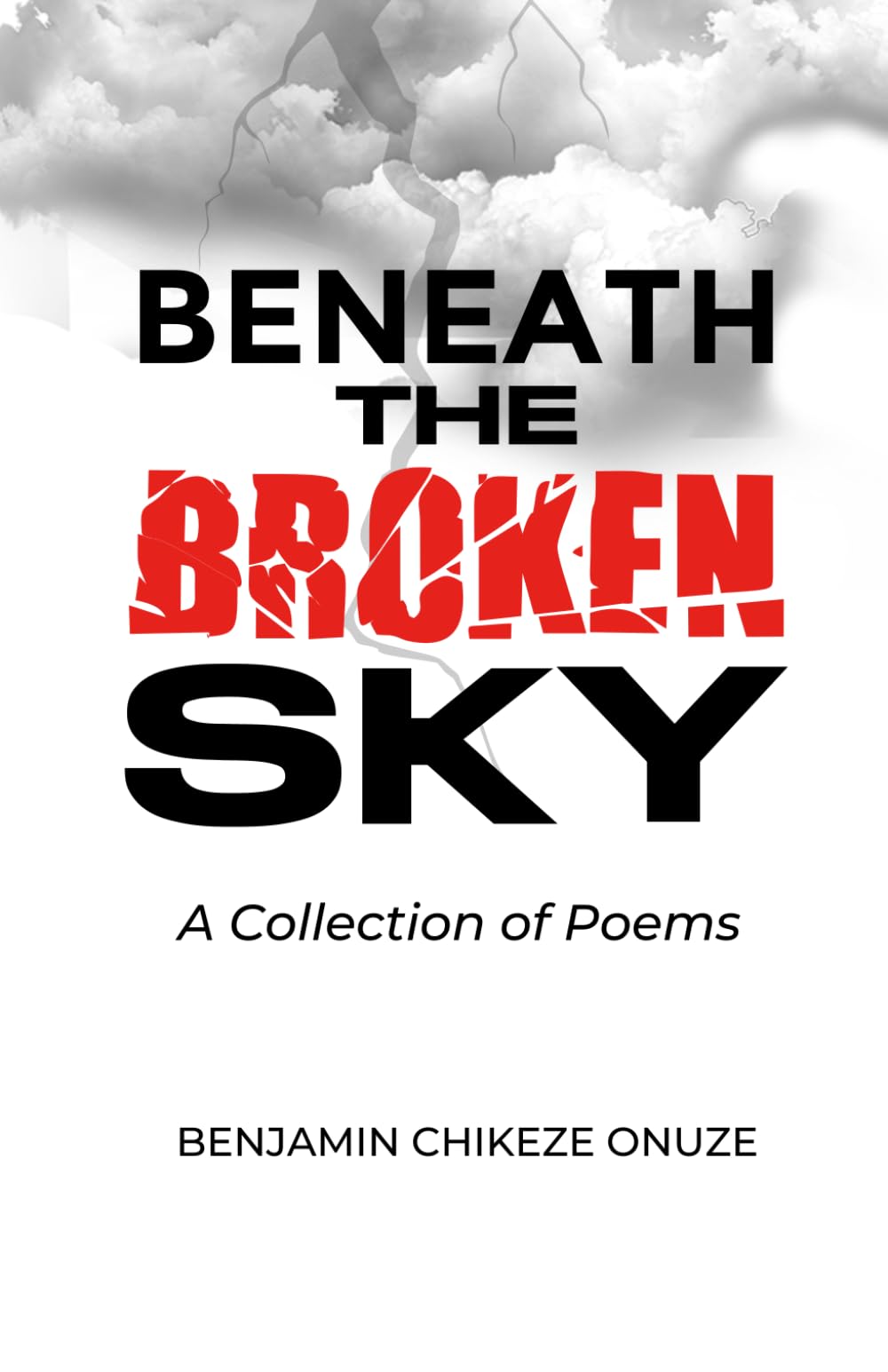 BENEATH THE BROKEN SKY: A Collection Of Poems