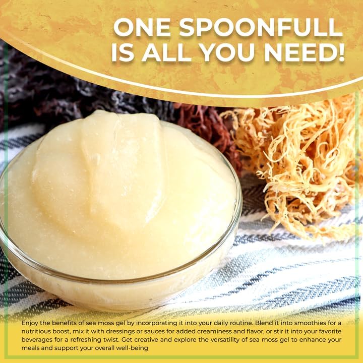 Miniatura 7 de WELLNESS LABSRX Irish Sea Moss Gel Raw Gel de masa marina de superalimento silvestre Sabor original, rico en vitaminas y minerales de aguas