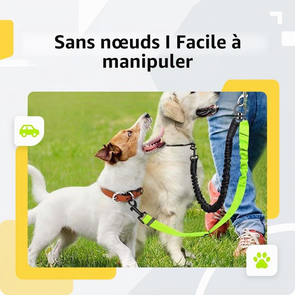 Laisse Double pour 2 Chiens Rétractable Vert Fluorescent - sans Enchevêtrement Pivot 360° avec Amortisseur Élastique et Coutures Réfléchissantes pour Promenades Sécurisées de Petits et Moyens Chiens