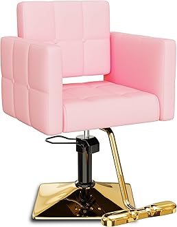 Baasha Comfortable Hair Salon Chair, Gold Salon Chair with Heavy Duty Hydraulic Pump, 360° Swivel Salon Chair for Hair Stylist, Styling Chair for Salon, Weight Capacity Up to 330 lbs - Gold & Pink