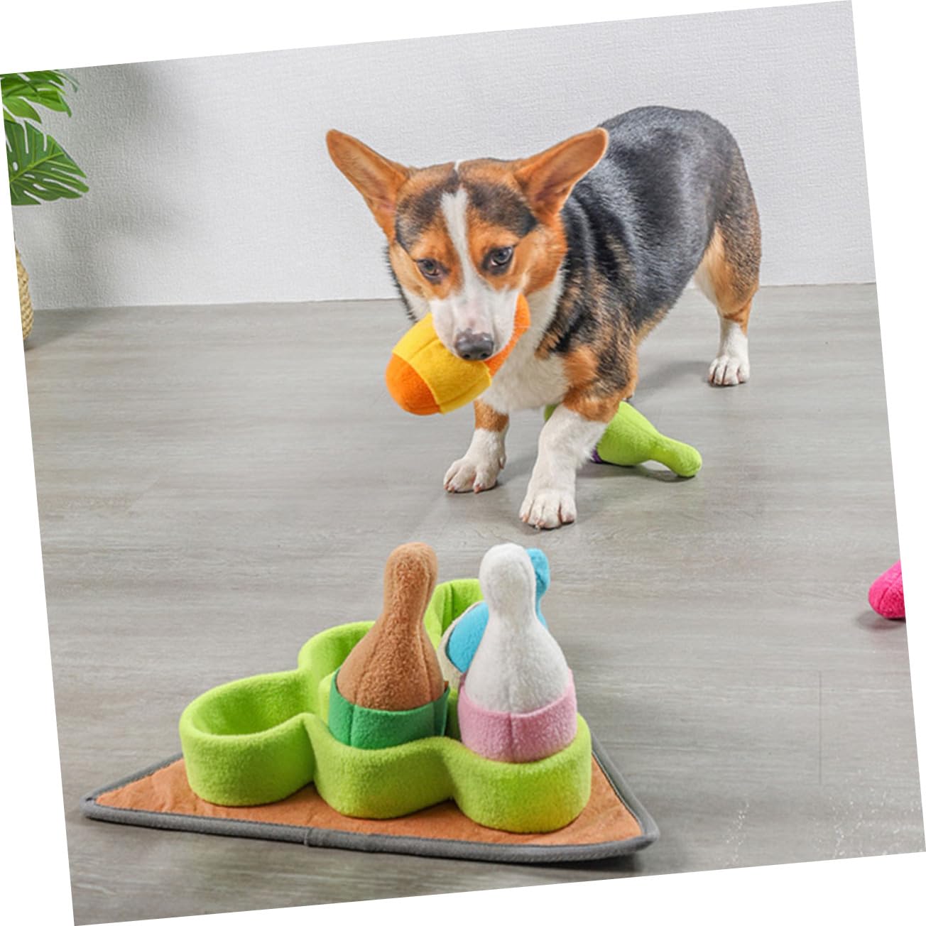 WOONEKY Tappeto Sensoriale in Pile Polare Resistente a Forma di Bowling Cane Giocattolo per Cani per Esercitare L'olfatto e Consumare Energia, per Cuccioli e Animali Domestici