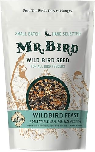 Mr. Bird WildBird Feast - Bolsa grande de semillas sueltas de 4 libras  Alimento de semillas de aves silvestres para comederos exteriores