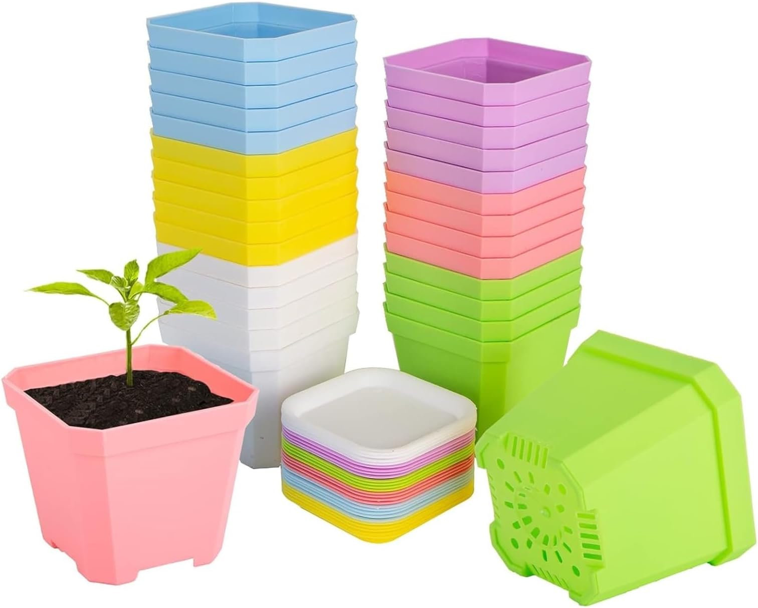 KAHEIGN 24Pcs Square Plant Pots, 7cm Thicken Plastic Flower Pots Succulent Planter Nursery Pots with Pallet/Trays for Small Potted Plants (6 Colors)