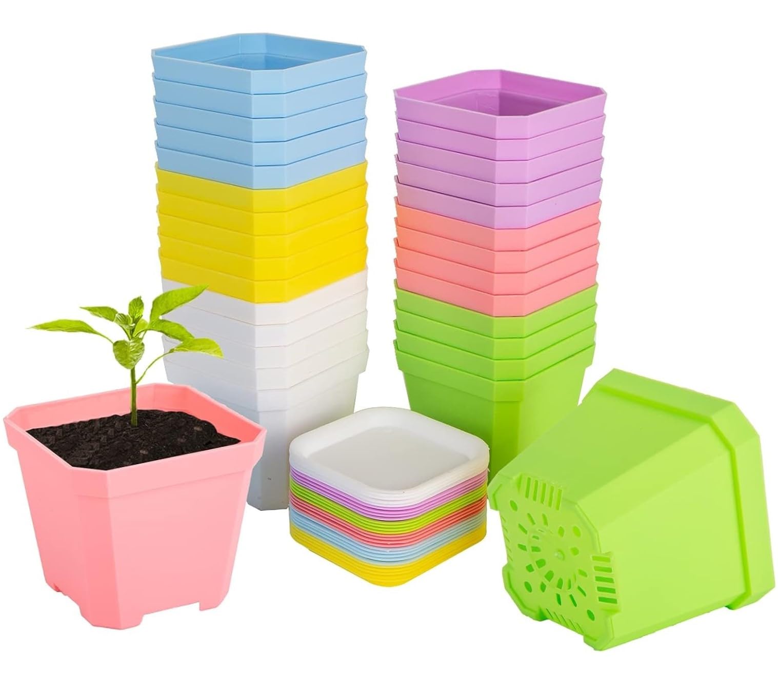 24Pcs Square Plant Pots, 7cm Thicken Plastic Flower Pots Succulent Planter Nursery Pots with Pallet/Trays for Small Potted Plants (6 Colors)