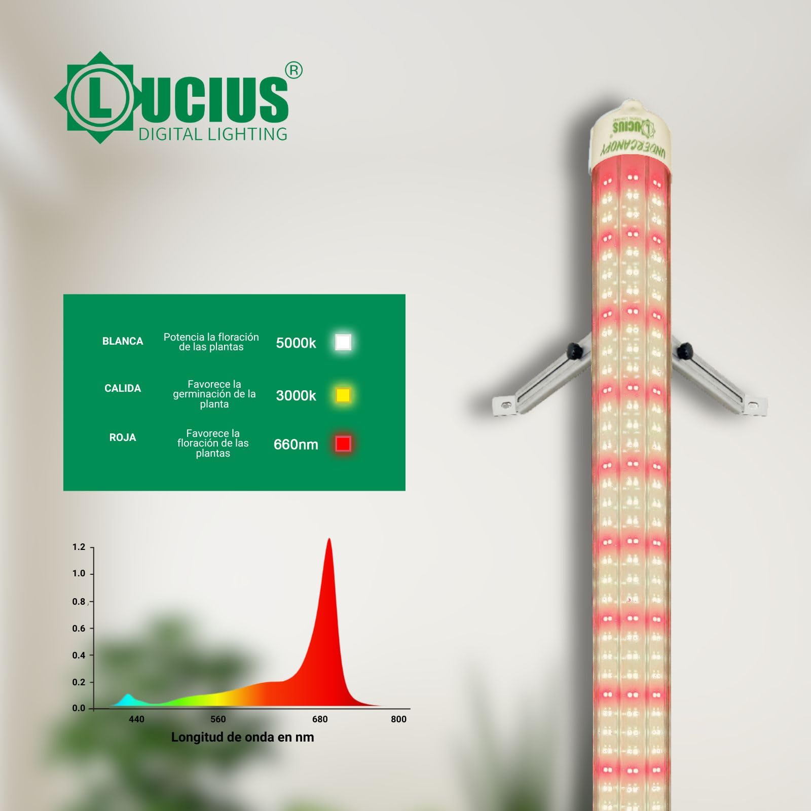 LUCIUS - LED Under Canopy 120 W - Culture intérieure et serre - Éclairage inférieur pour plantes, légumes et fleurs - Haute efficacité, faible consommation - Plus de production et de qualité sur les