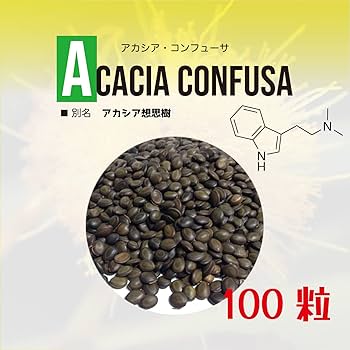 Acacia Confusa 種子 25粒+ Acacia Confusa 種子 25粒+ Acacia Confusa 種子 25粒+ Acacia