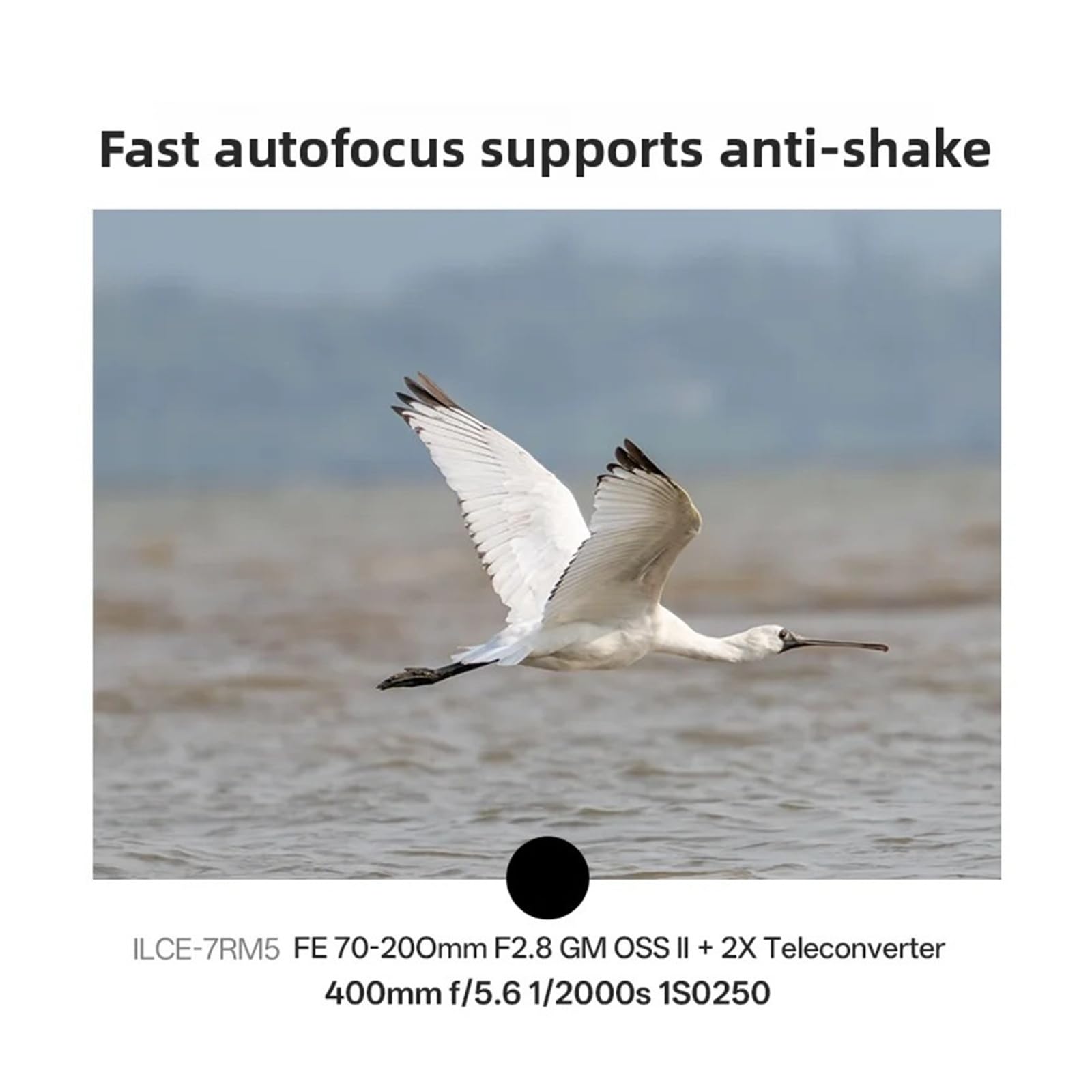 Lens, 2,0-facher Telekonverter mit Autofokus, kompatibel mit Sony E-Kameraobjektiven,for Camera