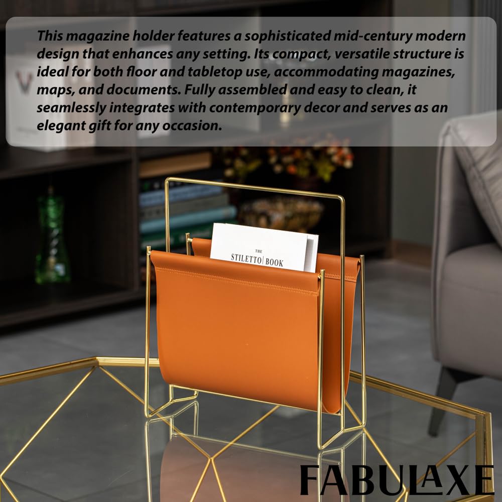 Fabulaxe Porte-revues et porte-revues pour bureau, bureau à domicile, salon, zones d'attente, rangement de fichiers de ferme, panier pour lettres, magazines, livres, journaux et autres documents de