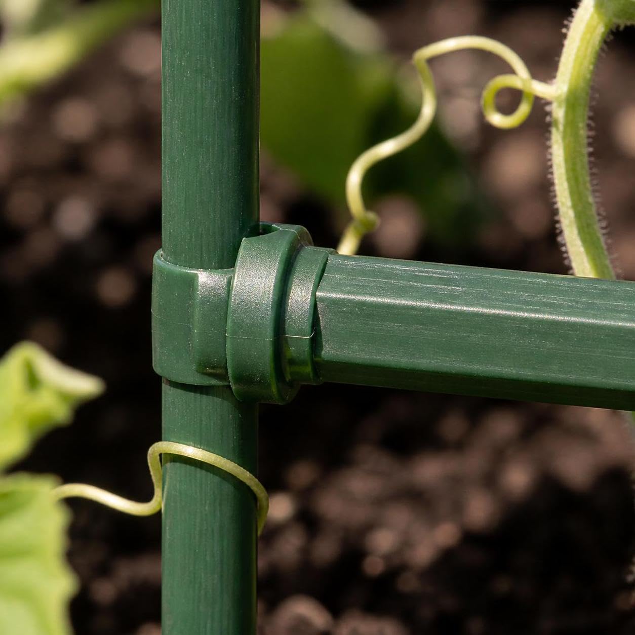 Treillis pour Plantes grimpantes, 3 Ensembles