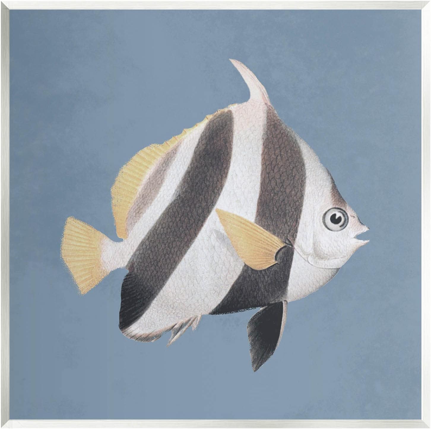 Stupell Industries Striped Fish Marine Life Portrait Wood Wall Art, Design by Piddix