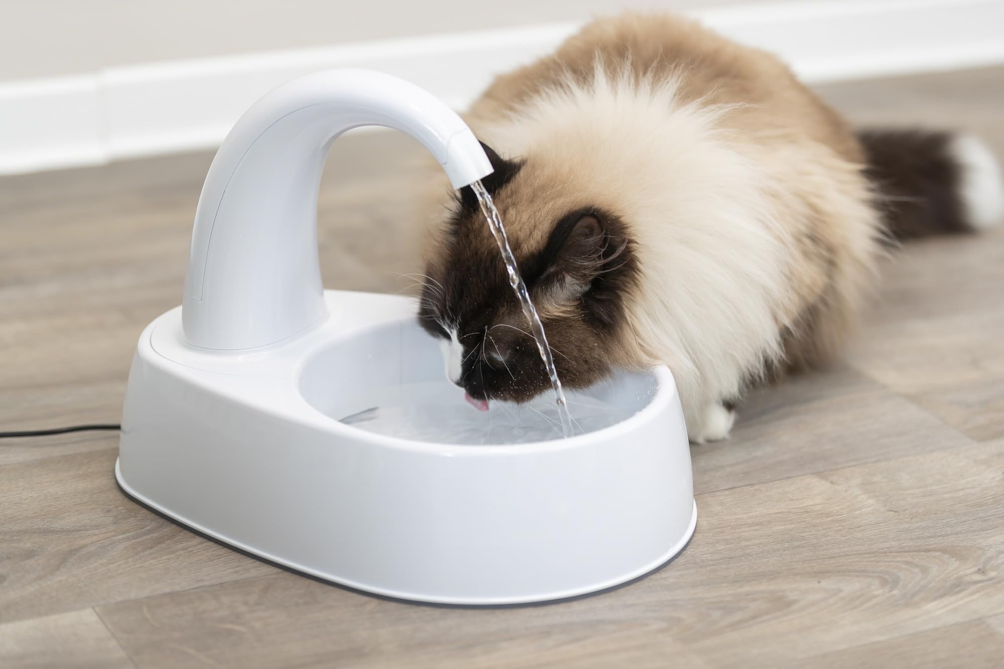 TRIXIE Trinkbrunnen Curved Stream, Kunststoff, 2,5 l/25 × 24,5 × 35 cm, weiß