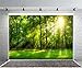 Leowefowa 10x8ft Spring Backdrop Jungle Forest Trees Backdrops for Photography Sunshine Rays Green Grassland Nature Outdoor Vinyl Photo Background Kids Adults Studio Props