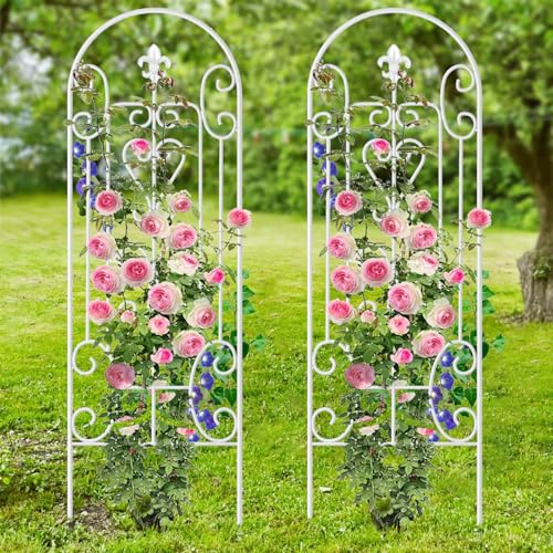 AMAGABELI Garden & Home 2 Pack 60" x 18" Garden